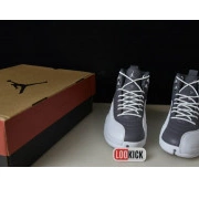 STEALTH 12 CT8025-610 AIR JORDAN 0709